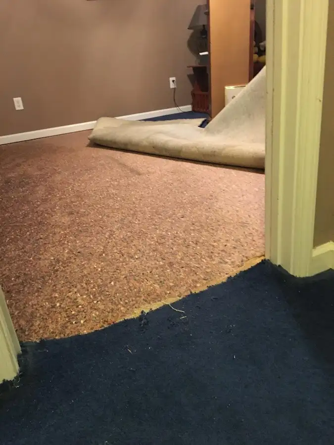 Carpet pad removal revealing water damage during Water Mitigation Services in Ottawa
